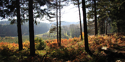 Les Guilleries, Sant Hilari Sacalm